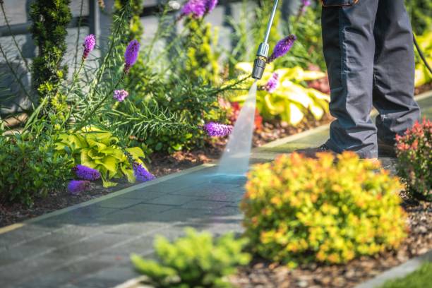 Best Concrete Surface Cleaning in Lyman, MS